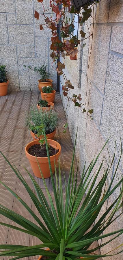 O Terraco Florido Apartment Viseu Ngoại thất bức ảnh